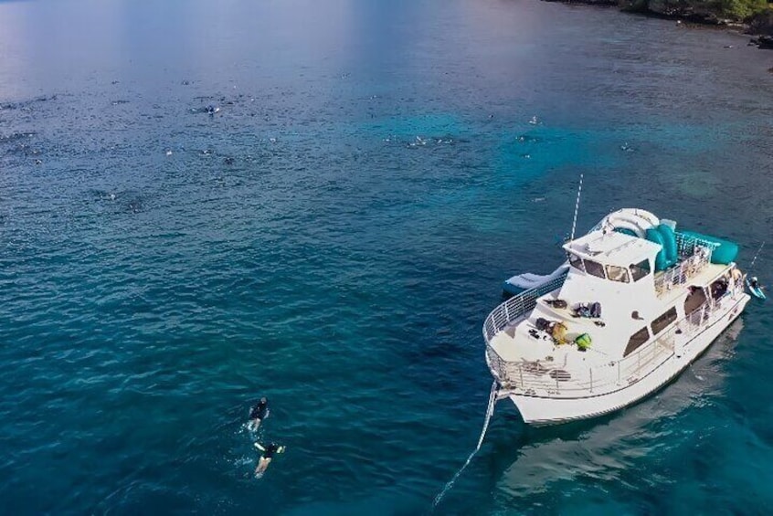 Maui Snorkeling To Molokini Tour - All-Inclusive 5-Hour - Morning