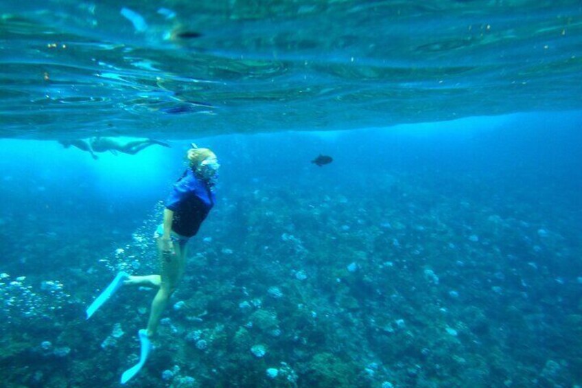 Molokini Snorkel & Slide 7AM - 12PM