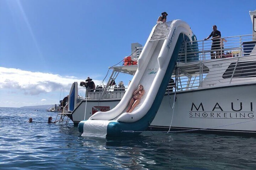 Maui Snorkeling To Molokini Tour - All-Inclusive 5-Hour - Morning Session