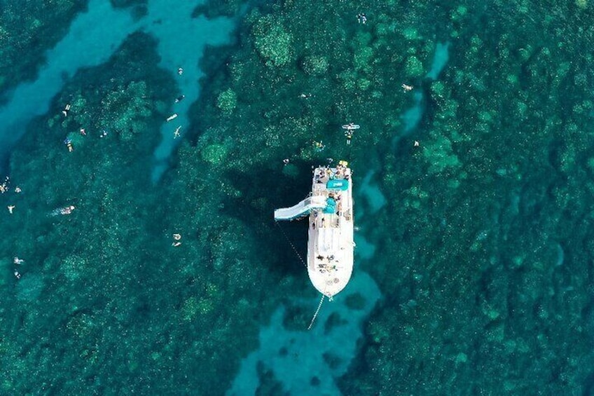 Maui Snorkeling Lani Kai - All-Inclusive 3-Hour Snorkel 