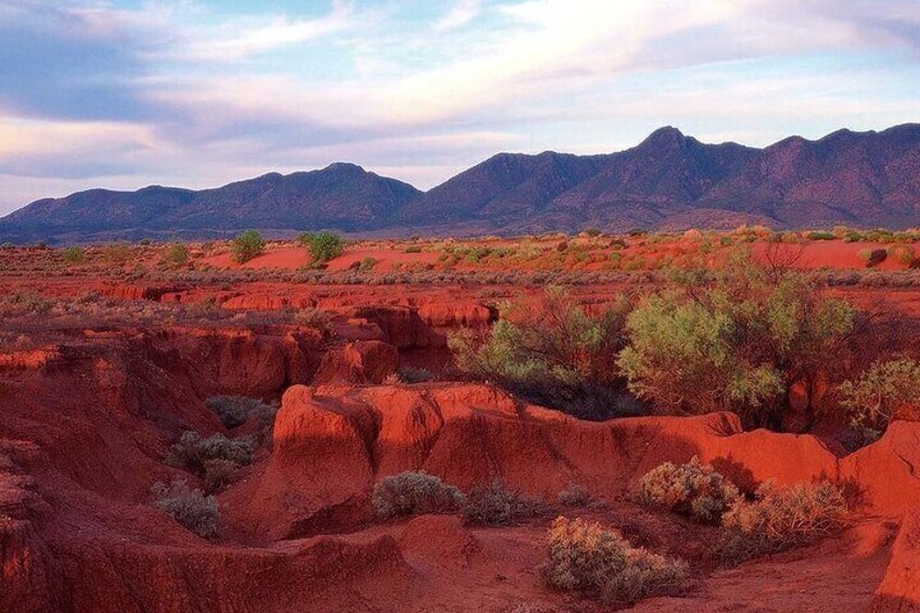 Flinders Ranges 5-Day Small Group 4WD Eco Tour from Adelaide