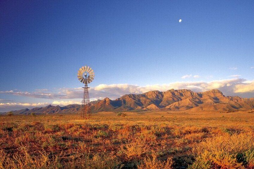 Flinders Ranges 5-Day Small Group 4WD Eco Tour from Adelaide