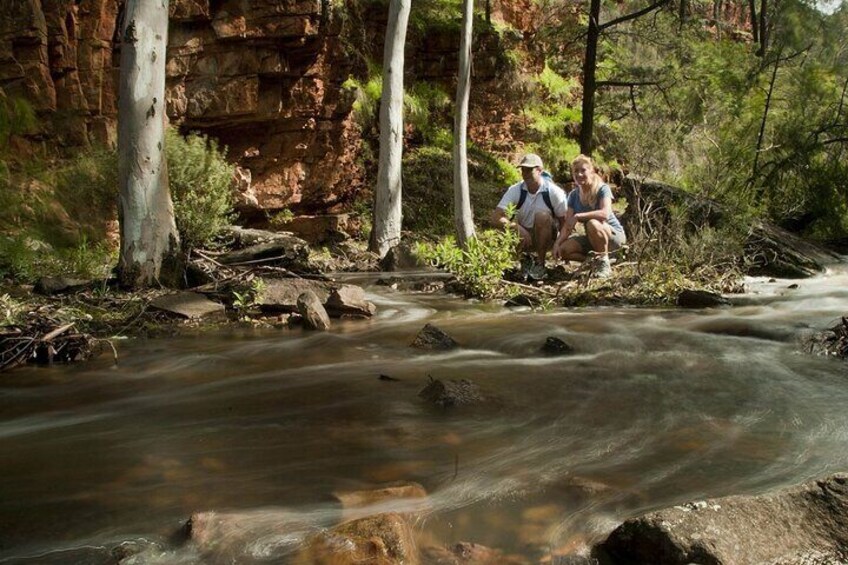 Flinders Ranges 5-Day Small Group 4WD Eco Tour from Adelaide