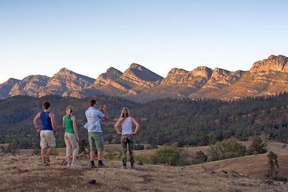 Flinders Ranges 5-Day Small Group 4x4 Eco Tour from Adelaide