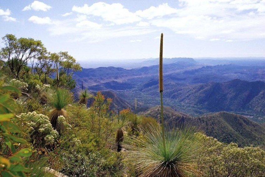 Flinders Ranges & Outback 5 Day Small Group 4WD Eco Tour