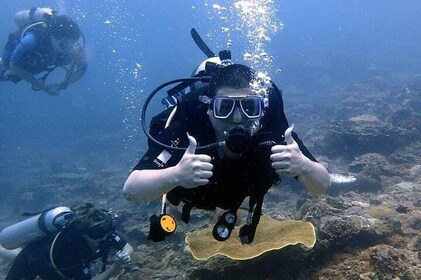 Kota Kinabalu Leisure Scuba Diving Trip (3 Dives)