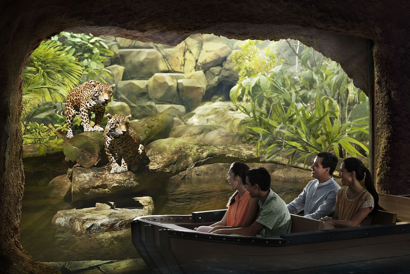 Show item 1 of 4. Singapore River Safari