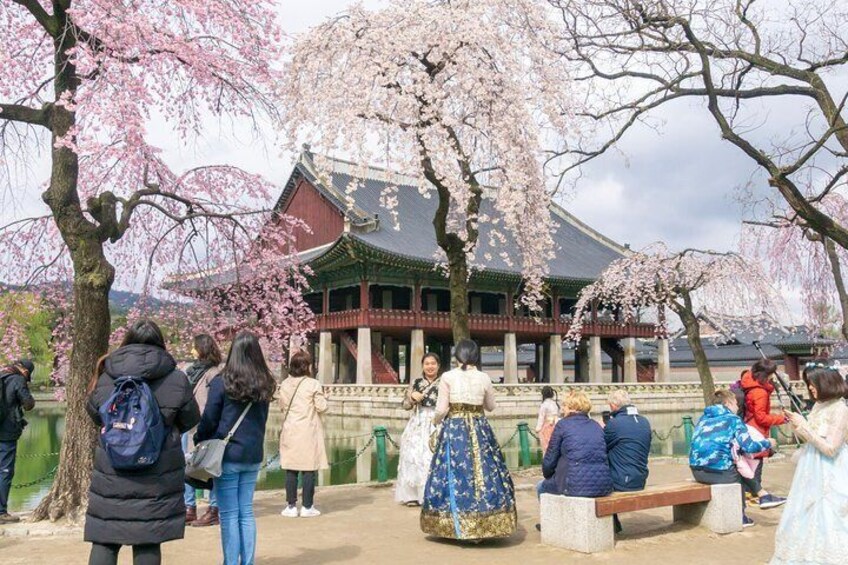 Seoul City Tour