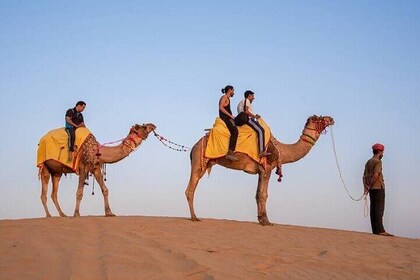 Jodhpur Camel Safari Day Tour