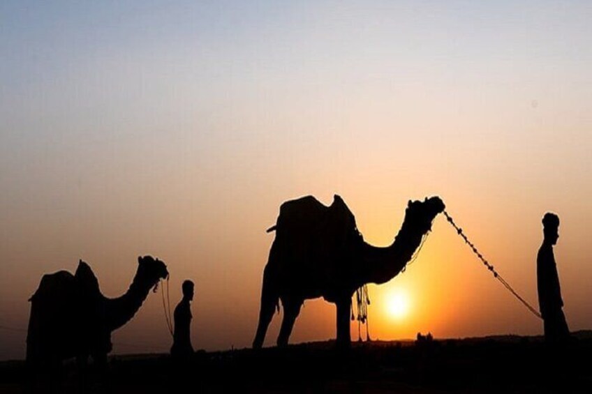 Desert Jeep Safari & Camel Safari Tour From Jodhpur 