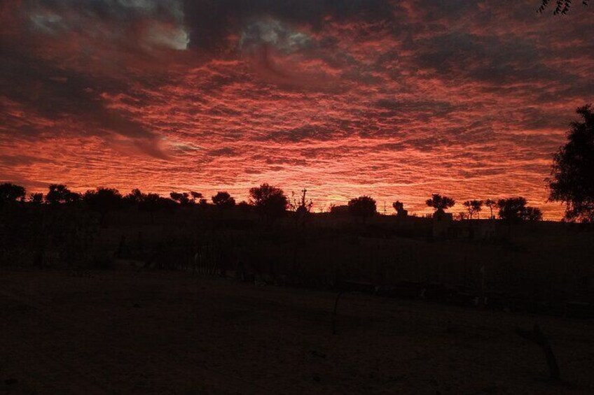 The Jhumpa(Hut) Village Homestay In Desert Under Stars Near Jodhpur