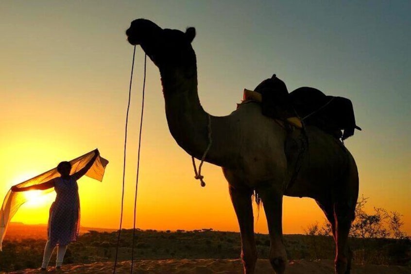 The Jhumpa(Hut) Village Homestay In Desert Under Stars Near Jodhpur