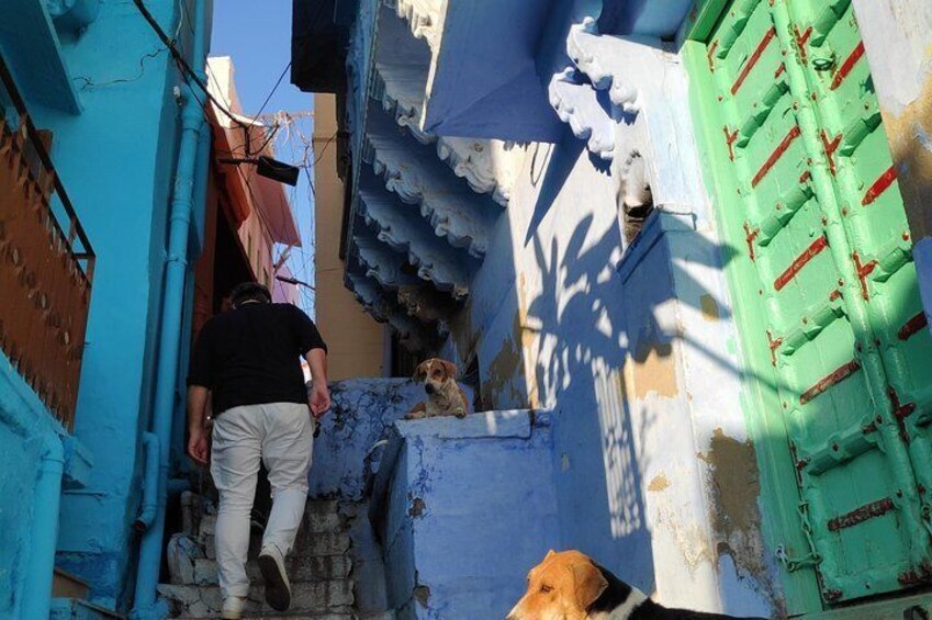 Blue city heritage walk and Mehrangarh fort visit