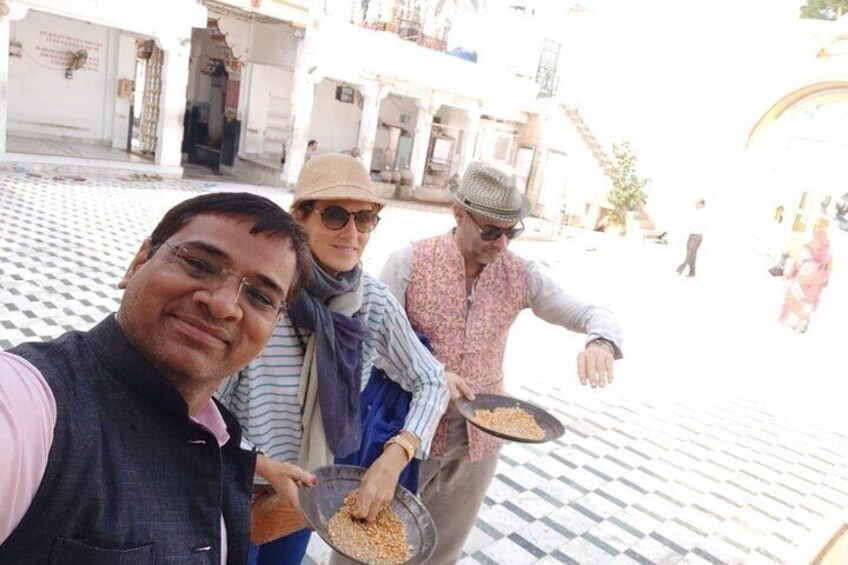 Jodhpur Mehrangarh Fort and Blue City Guided Tour