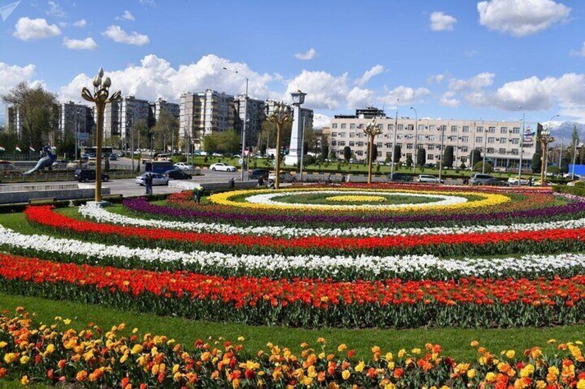 Dusti Square