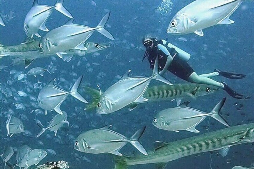 Become certified diver in 3 days - PADI Open Water Diver course on Koh Tao