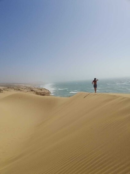 Sahara Sand Dunes 