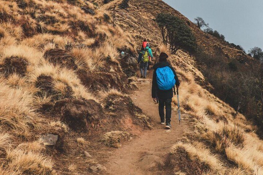 Trekking trails to Mardi Base Camp.