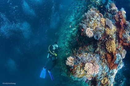 Bali Diving Tulamben shipwreck - Try Scuba - Fun Diving