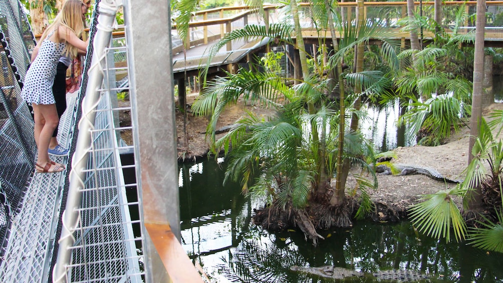 Wildlife Habitat Port Douglas Admission