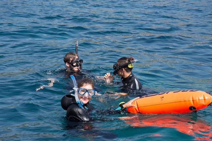 Boat Tour & Snorkeling in Malgrats Island