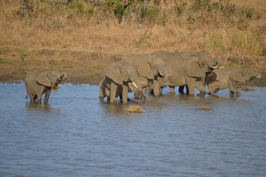 Mikumi National Park Day Trip from Dar es salaam (By road)