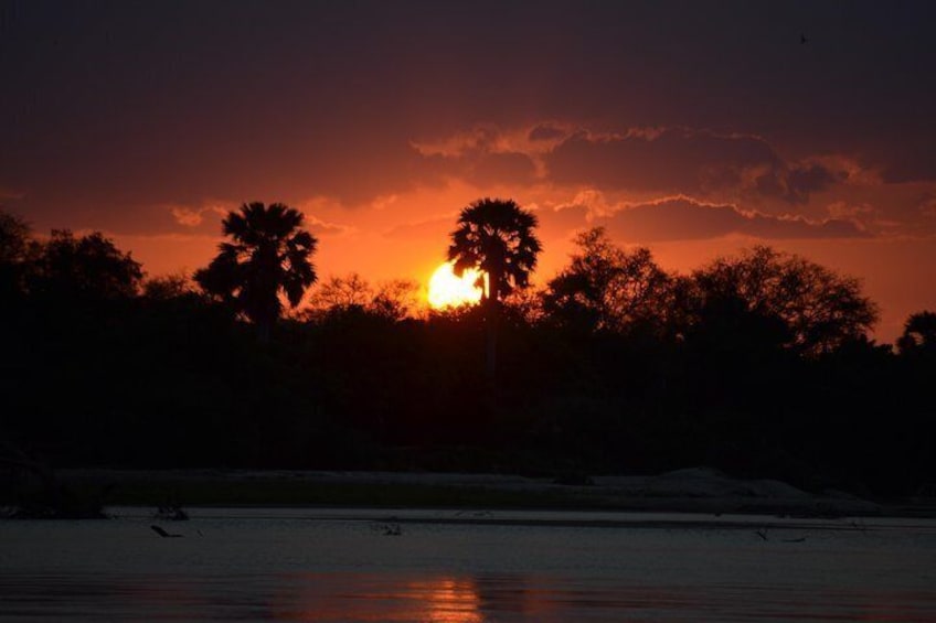 Mikumi National Park Day Trip from Dar es salaam (By road)