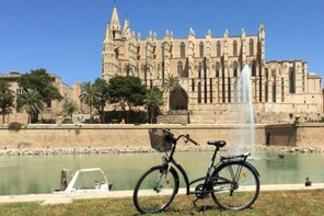 Urban bicycle & Tapas Tasting Half-Day Tour