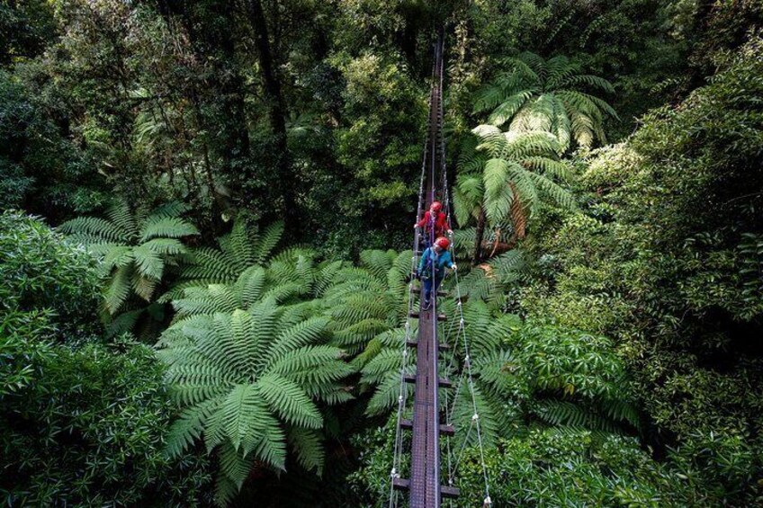 The Original Canopy Experience Small Group Adventure Zipline Tour From