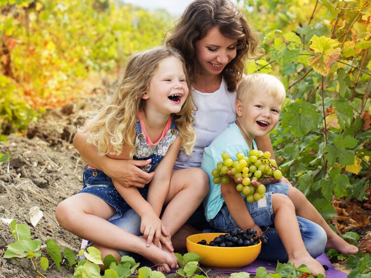 Mudgee Wine Tasting Tour