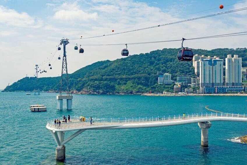 Busan Customizable Private Tour with private vehicle