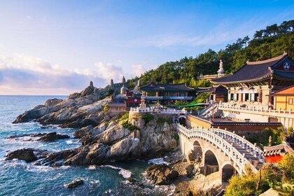 Busan: Fully Customisable Private Tour