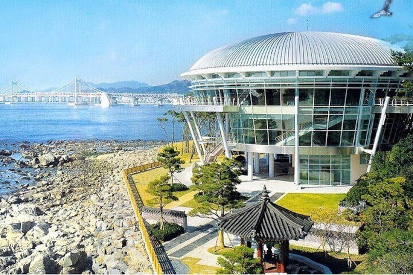 Busan: Fully Customizable Private Tour