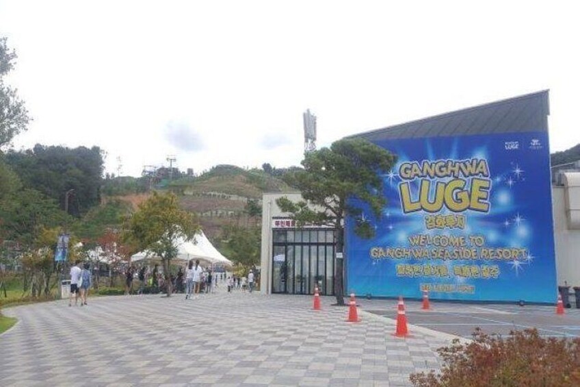 Here is a exciting activities of riding Luge, Gondola, and Observatory Top Mountain.