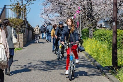 東京下町自転車ツアー（ショートコース）Guided cycle tour (short) in the central Tokyo