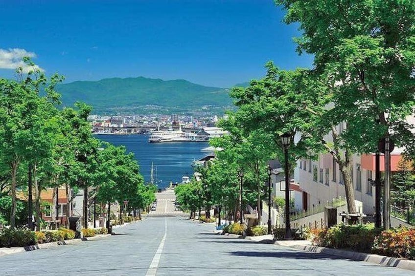 Show item 2 of 15. Hakodate Full-Day Private Tour with Nationally-Licensed Guide