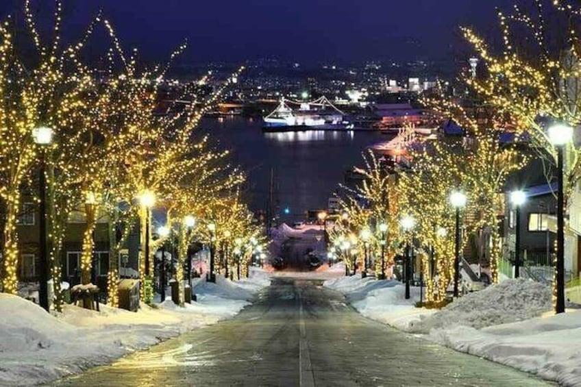 Show item 4 of 15. Hakodate Half-Day Private Tour with Nationally-Licensed Guide