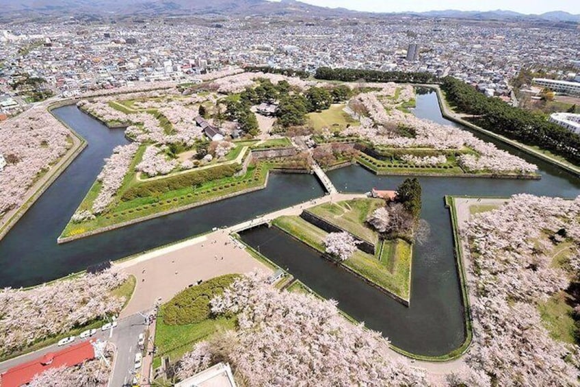 Hakodate Half-Day Private Tour with Nationally-Licensed Guide