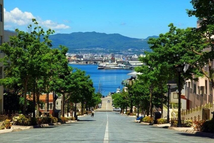 Hakodate Half-Day Private Tour with Nationally-Licensed Guide