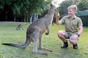 Australia Zoo Admission with Express Transfers