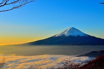 英語を話すドライバーによる富士山、箱根、芦ノ湖の 1 日プライベート ツアー。