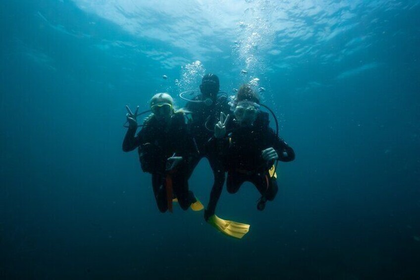 Try-Scuba Experience at Cook Island: Turtle Encounters 100%