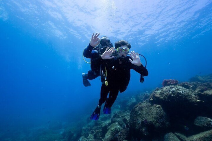 Try-Scuba Experience at Cook Island: Turtle Encounters 100%