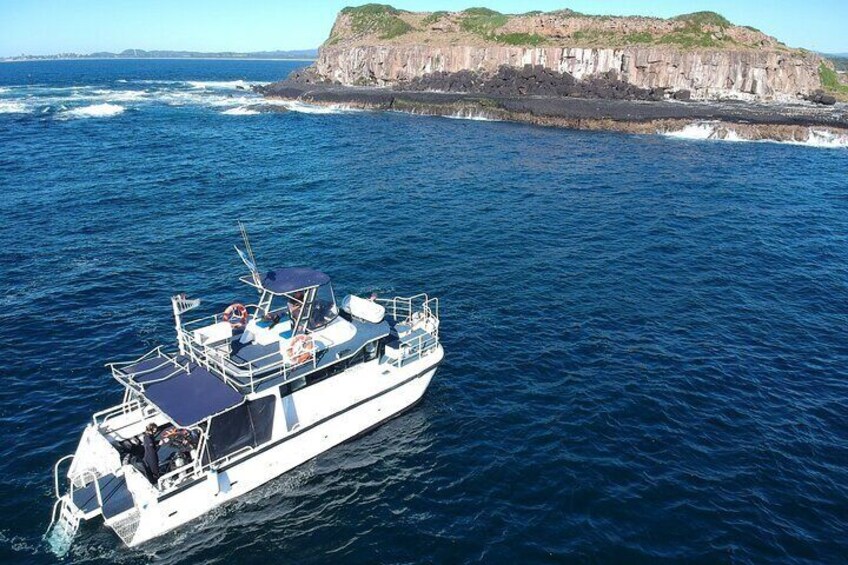 Snorkelling with Turtles at Cook Island Marine Rserve