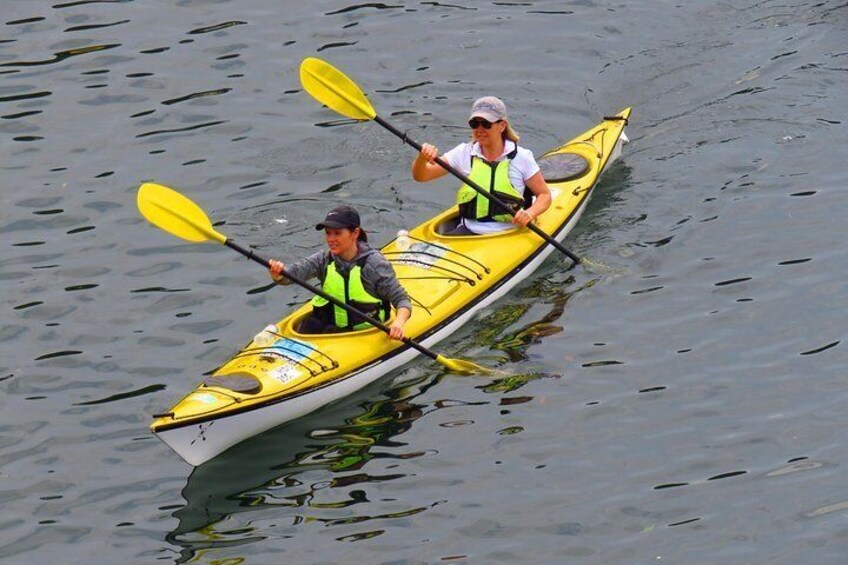 Deluxe Double Sea Kayak