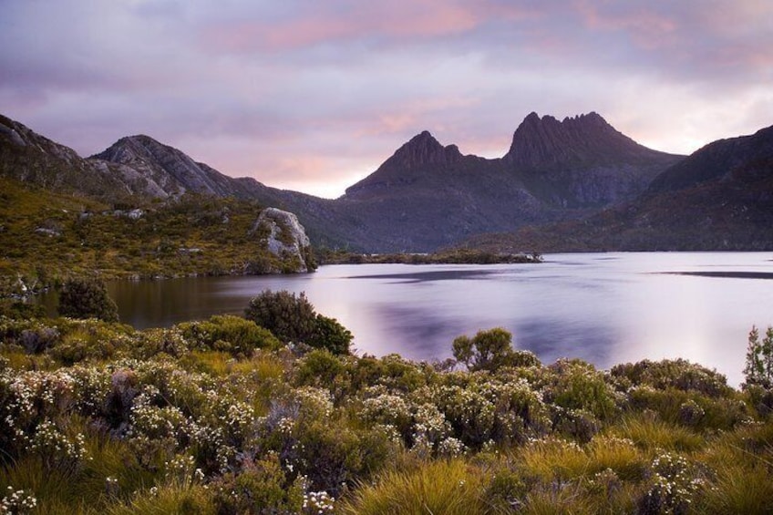 Cradle Mountain Private Charter Service