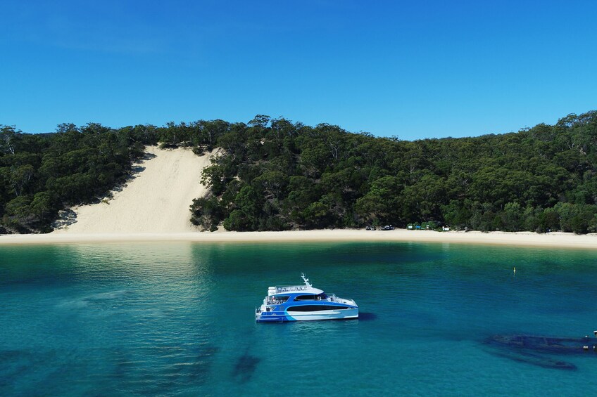 Show item 4 of 8. Dolphin Watch & Tangalooma Wreck Snorkeling 1 Day Tour