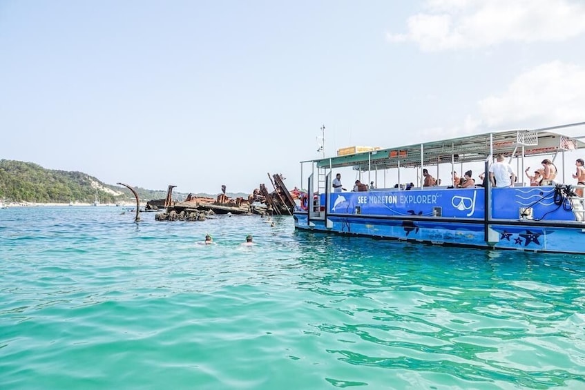 Show item 5 of 8. Dolphin Watch & Tangalooma Wreck Snorkeling 1 Day Tour