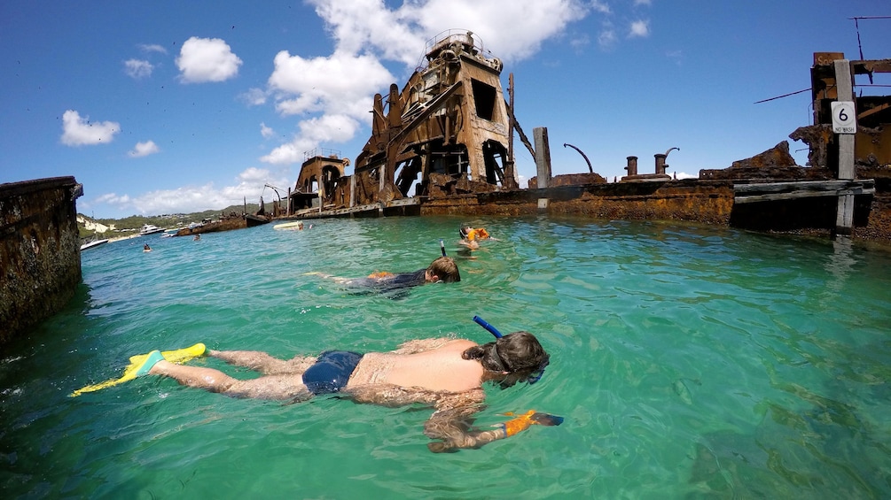 Show item 2 of 8. people snorkeling amongst rusty sunken ships in Gold Coast
