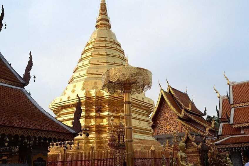 Best Day Trip Chiangmai City Temple+Doi Suthep+Wat Palad+Home Industries